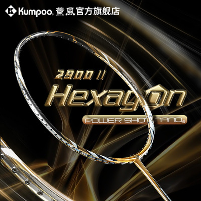 薰风2025新款羽毛球拍全碳素纤维超轻耐打进攻型单拍熏风2900二代