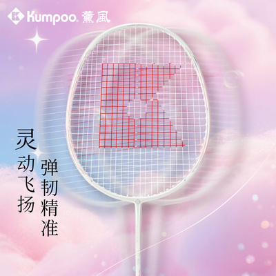 薰风2025新款羽毛球拍碳素纤维超轻羽球拍专业比赛单拍熏风LQ-89