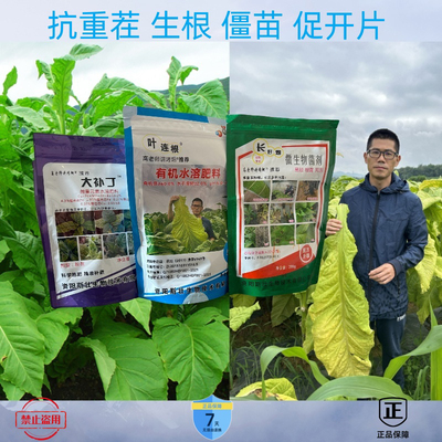 叶连根组合  防病增产三件套 促长 抗重茬 黑胫  更健康