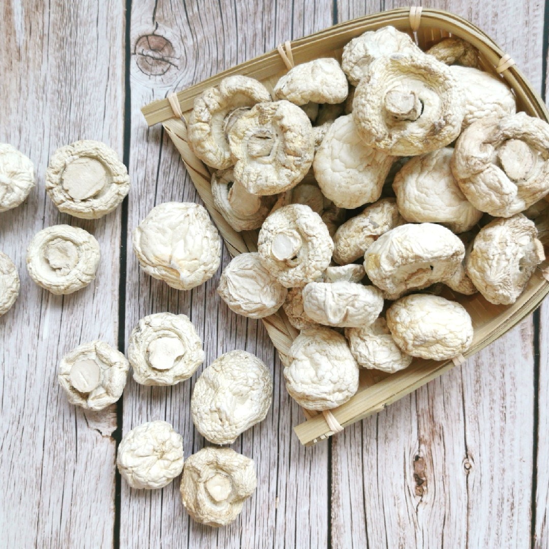 新疆伊犁草原口蘑美味蘑菇草菇圆菇500g营养菌菇一斤包邮