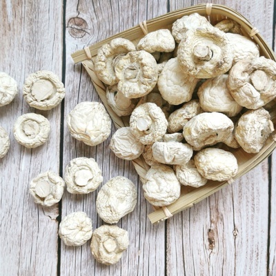 新疆伊犁草原口蘑美味蘑菇草菇圆菇500g营养菌菇一斤包邮