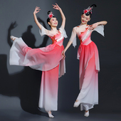 纱衣高端练功服套装 古典舞演出服女士飘逸新款 十八焕蝶伞舞蹈服装