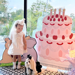 ins卡通手绘粉色生日蛋糕kt板生日周岁装饰立牌宝宝拍照布置道具