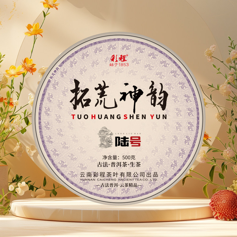 2025年拓荒神韵龙六号500克生饼