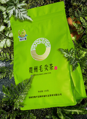 2025新茶上市高山春茶茶叶绿茶散装云雾贵州毛尖茶500g袋装嫩栗香