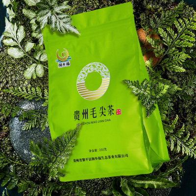 都匀毛尖1斤（250g*2袋)2025新茶