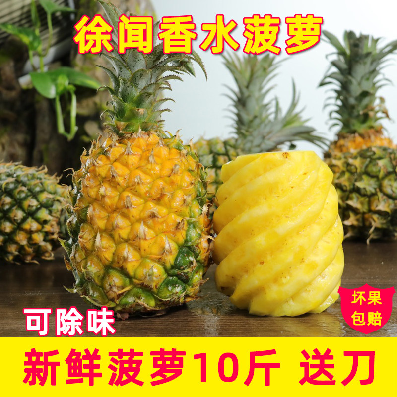 徐闻香水菠萝10斤新鲜水果小菠萝一整个去味除味波罗包邮湛江现摘