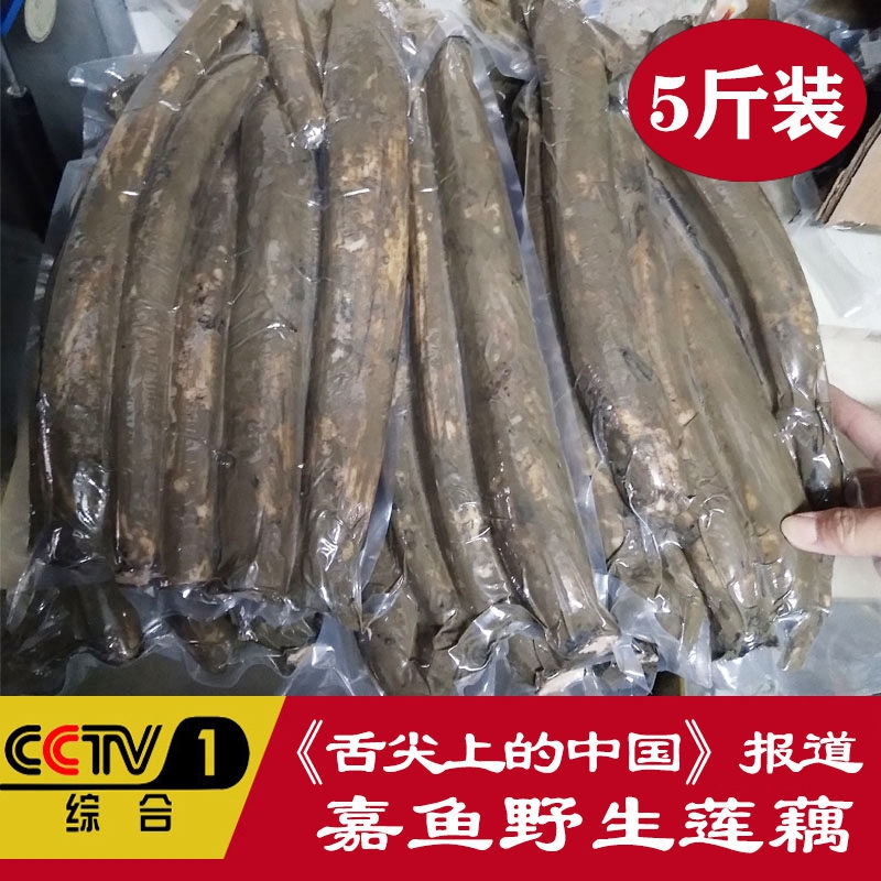 湖北嘉鱼野莲藕洪湖新鲜粉藕5斤炖汤现挖煲汤食用九孔糯米面藕3