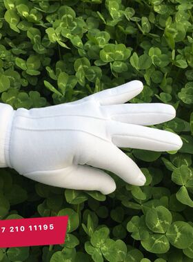 冬季执勤保暖纯棉加绒加厚白手套男女士安保交通礼仪检阅黑色手套