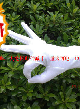 白手套 礼仪手套 司机白色手套 吸汗 作业手套 手套