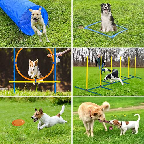 犬敏捷训练器材狗障碍训练跳杆锥桶标志杆跨栏训狗dog training