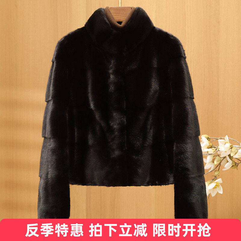 水貂皮大衣女短款立领横排款2025冬季新款海宁整貂毛皮草外套显瘦