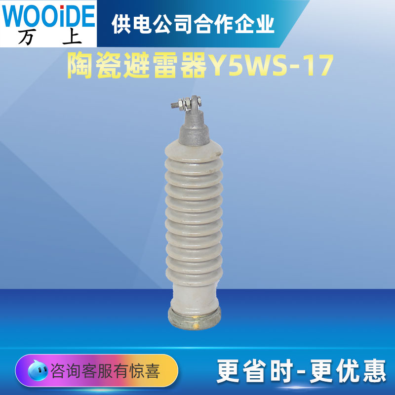 万上10KV高压陶瓷氧化锌避雷器Y5WS-17/50户外陶瓷 瓷外套避雷器 五金/工具 避雷器 原图主图