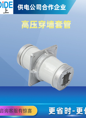 母线穿墙套管CM-10KV/90 100 160白色陶瓷CMW-20/180 270 330