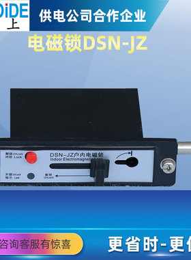 户内开关柜电磁锁DSN-Y/Z/BNY/AMY BMY反向电磁锁配电箱外壳锁