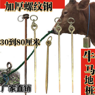 马羊牲口地桩钉加粗螺纹钢地钉帐篷钉地撅直钉拴牛拴狗橛子地膜钉
