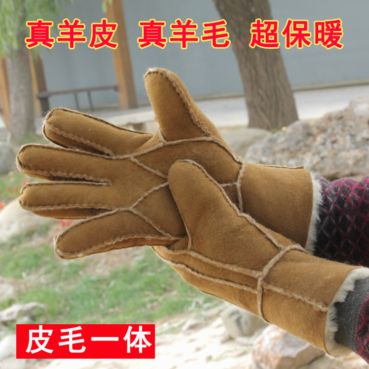 Gants pour homme en peau de mouton - Ref 2781658 Image 1