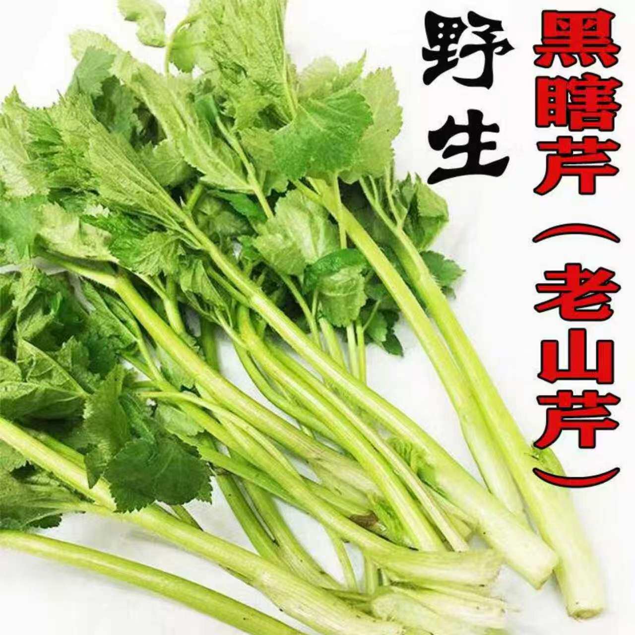 东北新鲜老桑芹黑瞎大叶芹野生山菜现采摘产地直发1斤5斤春季食材