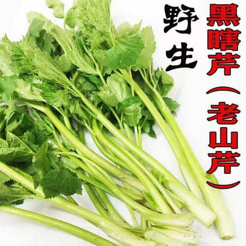 东北新鲜老桑芹黑瞎大叶芹野生山菜现采摘产地直发1斤5斤春季食材