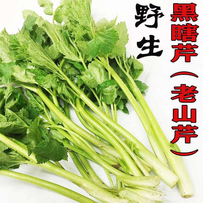 东北新鲜老桑芹黑瞎芹现野生山菜大叶采摘产地直发1斤春季食材