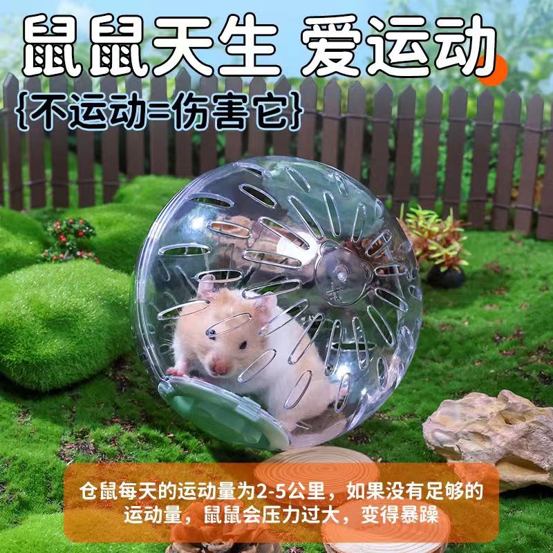 仓鼠玩具跑球跑轮滚轮支架金丝熊玩具/造景装饰