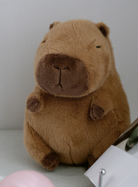 卡皮巴拉毛绒公仔 水豚卡通儿童玩具可爱布娃娃Capybara女生礼物