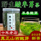 野生酸枣叶茶初春酸枣芽新鲜小嫩芽茶仁子睡眠炒制山西茶太行山安