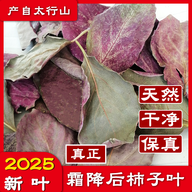 霜打野生柿叶中药材霜打