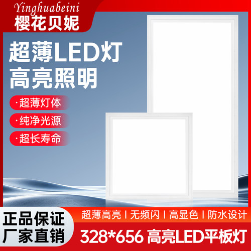 328*656集成吊顶灯嵌入式厨房灯