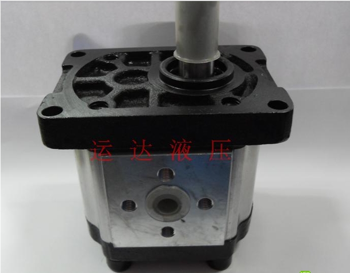 液压齿轮泵SDH上海大众
