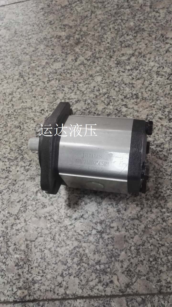 高压齿轮泵 油泵 JANUS油泵 BHP2A0D25C5R1|ruв категории оборудование/инструменты, гидравлический/подъемный механизм, гидравлический инструмент, гидравлическая машина/гидравлический машина - от Buy2taobao.com для оказания профессиональной услуги покупки агента Taobao