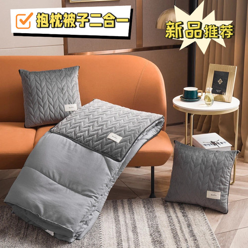 高级抱枕被子二合一丝绒轻奢抱枕被子两用加厚汽车靠垫沙发午睡枕