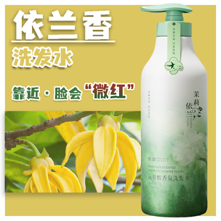 依兰香洗发水护发花香提取物持久留香香氛丝滑柔顺改善毛躁情调