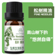 松树精油松针单方抑菌杀菌香薰加湿器植物精油收缩毛孔净化空气