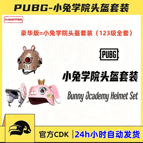 PUBG绝地求生皮肤小兔学院头盔套装二三级1级2级3级吃鸡CDK兑换码