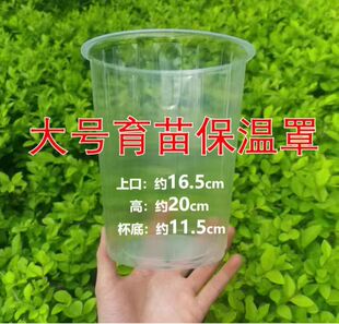 一次性塑料杯大口径幼苗防风防鸟防虫保温杯防冻雨透明杯罩可定制