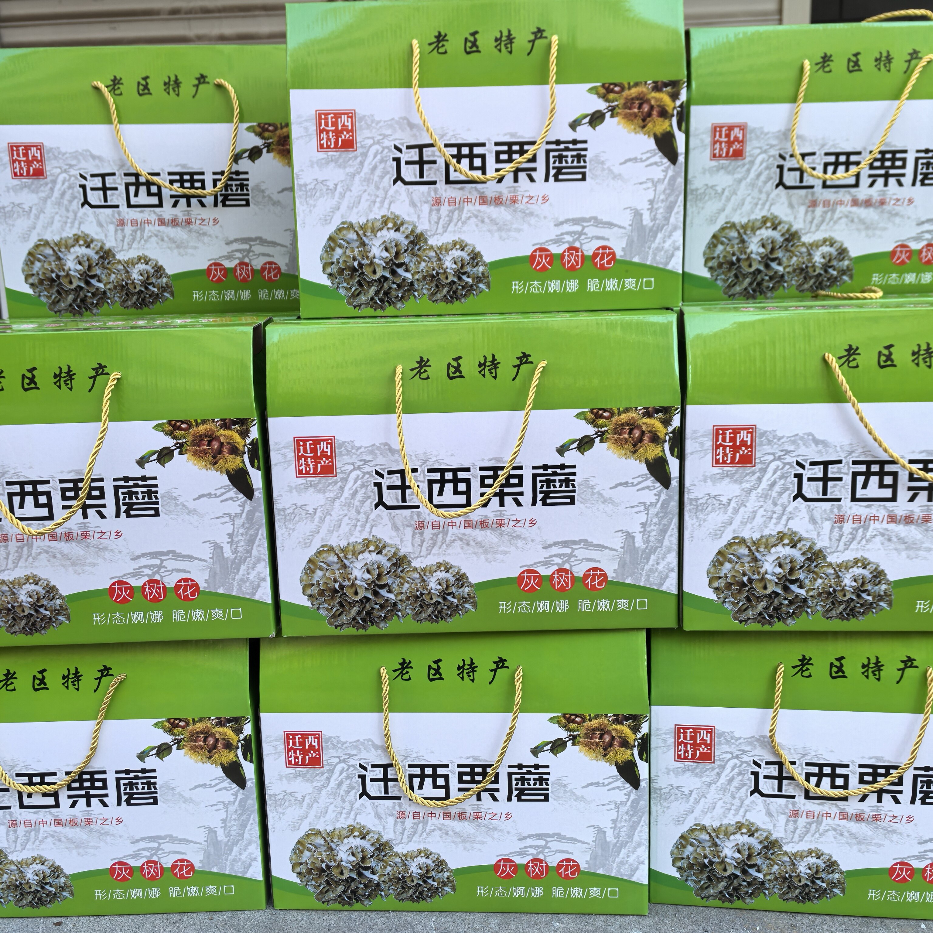 迁西栗蘑干灰树花舞茸菌菇250g礼盒装唐山市特产干货包邮