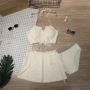 分体系带镂空保守海边泡温泉 时尚 比基尼泳衣女三件套裙式 2025新款