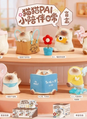 小陪伴猫猫盲盒正版PAI日常摆件可爱暹罗猫桌面萌宠手办生日礼物