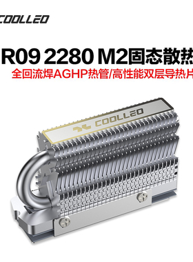 coolleo酷里奥HR-09 2280热管SSD固态硬盘散热器散热马甲散热片