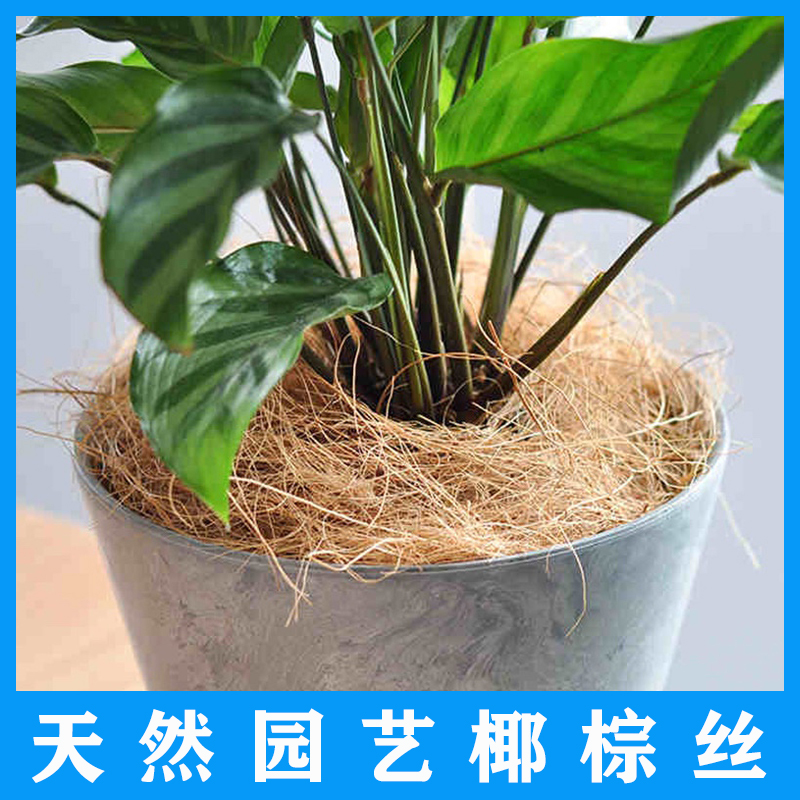 进口天然椰棕丝椰纤维绿植铺面保温透气植物花盆覆盖装饰全国包邮