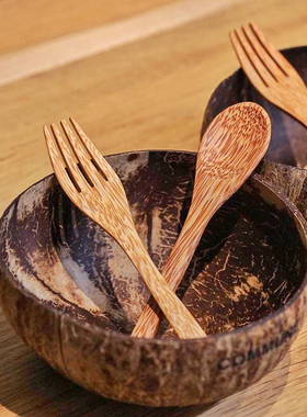 ins纯天然椰子碗大肚碗创意绿色健康vlog博主同款甜品碗小众