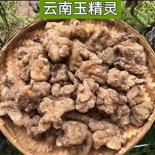 云南玉精灵缅王根云南高原洋姜雪域玉芙蓉