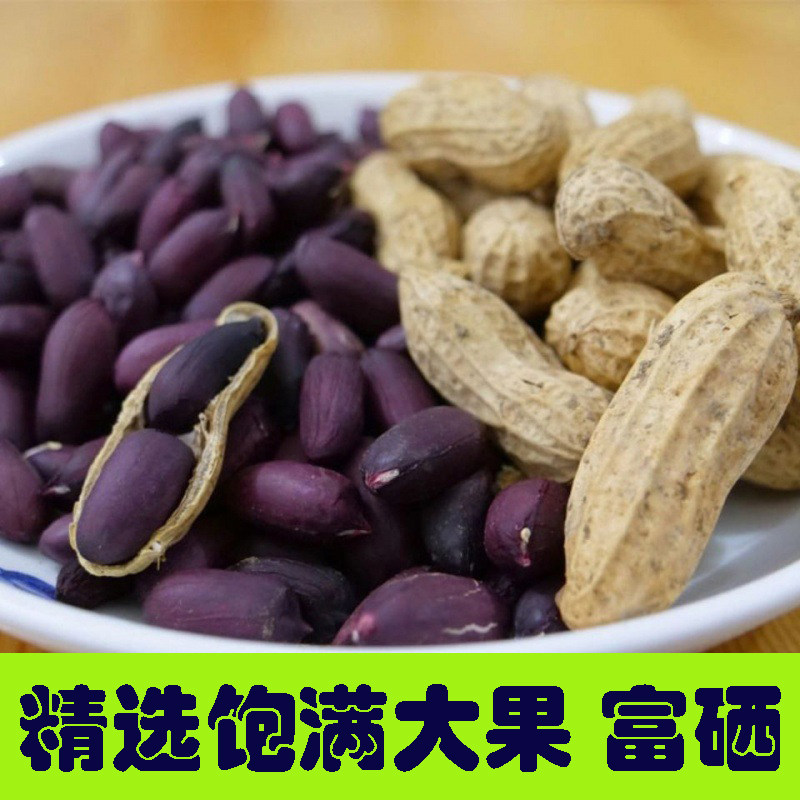 25年新货富硒黑花生带壳生吃甘甜黑色花生米黑皮河北新鲜可做种子