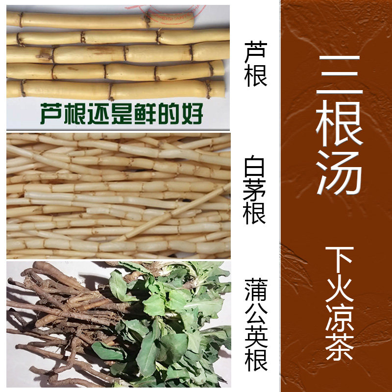 三根汤茅根芦根蒲公英新鲜下火中草食材葛根凉茶另有干品泡水喝