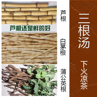 三根汤茅根芦根蒲公英新鲜下火中草食材葛根凉茶另有干品泡水喝