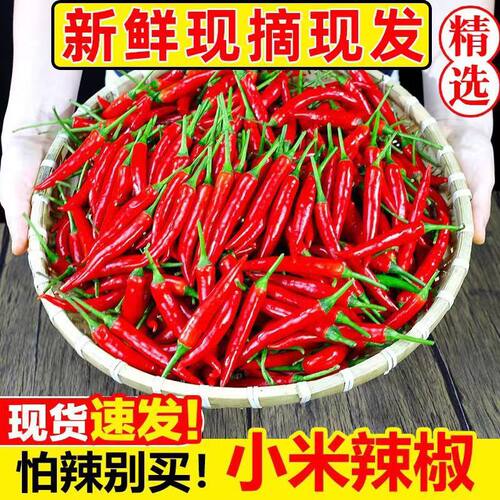 小米辣椒5斤新鲜农家自种红辣椒指朝天椒蔬菜泡椒特辣小米椒鲜辣