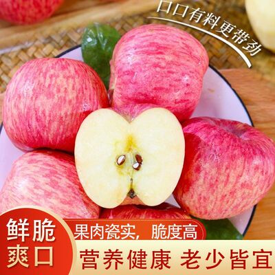 红富士苹果静宁苹果新鲜水果脆甜多汁四季热销坏果包赔