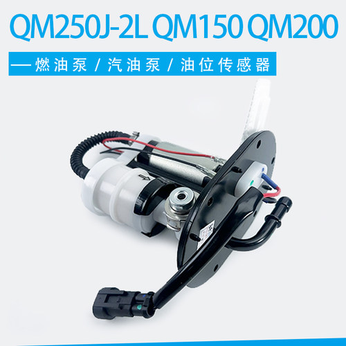 适用济南轻骑QM250J-2L QM150 QM200电喷汽油泵总成燃油泵滤芯
