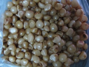 君子兰油匠花脸圆头内盆栽兰花保真四季播种包邮和尚宽叶